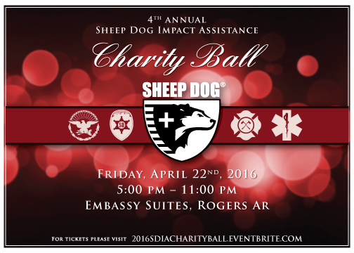 Get Ready for the 2016 Charity Ball!