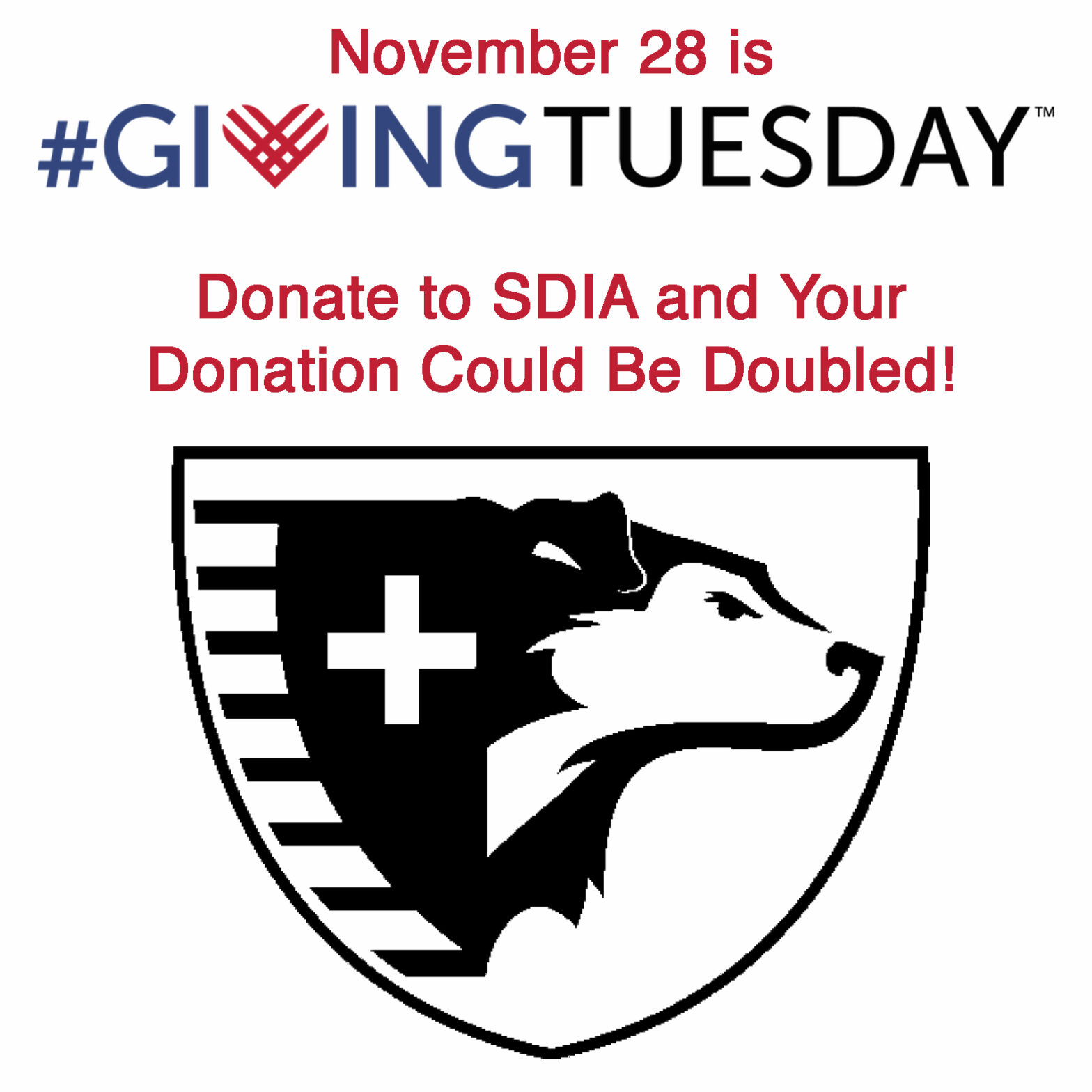 Give to SDIA on #GivingTuesday and Your Donation Could Be Doubled!