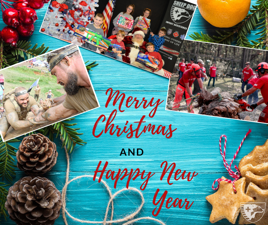Wishing You a Merry Christmas and Blessed 2019!