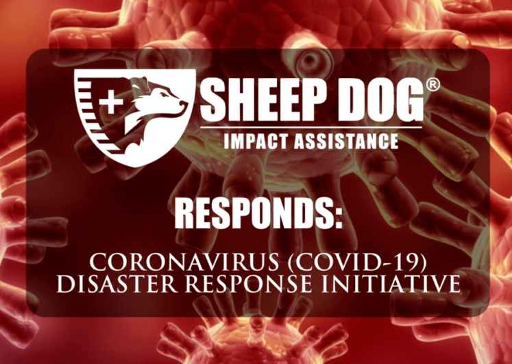SDIA RESPONDS: COVID-19 DISASTER RESPONSE INITIATIVE