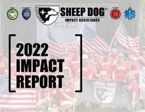 SDIA Annual Impact Report 2021