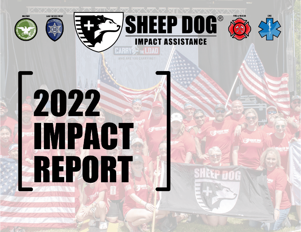SDIA Annual Impact Report 2021