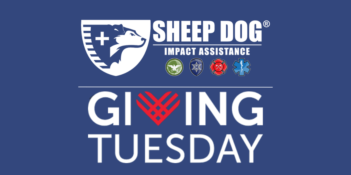 This Giving Tuesday: DOUBLE Your Impact for Our Nation’s Heroes