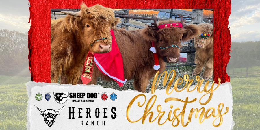 Merry Christmas from Heroes Ranch