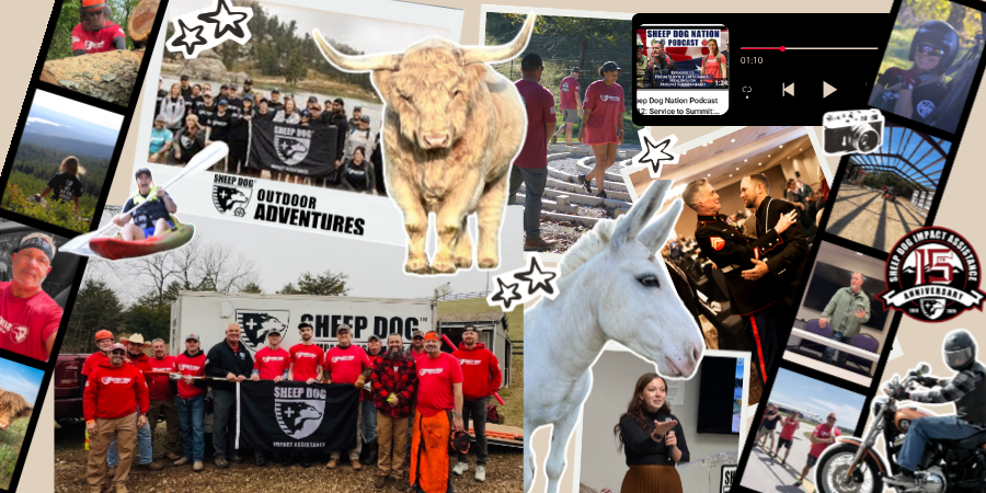 2025 Impact Report: How Sheep Dog Impact Assistance Is Building Post-Traumatic Growth in 2026