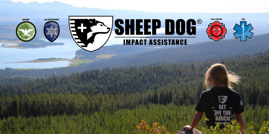 Meet the Team: Welcoming New Faces to the SDIA National Staff